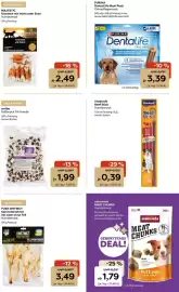 Zoo & Co Prospekt woche 36 Seite 7