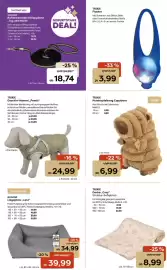 Zoo & Co Prospekt woche 36 Seite 9