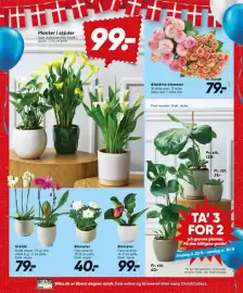 Bilka tilbudsavis uge 35 Side 32: Blomster €99,00, Afskårne blomster €79,00