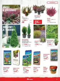 Uni Hobby leták Strana 3: Agro okrasné dřeviny €99,00, Trávy podzimní €139,00