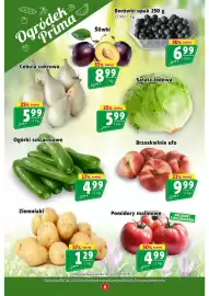 Prim Market gazetka tydzień 35 Strona 6: Ogórki szklarniowe €4,99, Brzoskwinie ufo €9,99