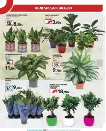 Volantino Ipercoop Pagina 33