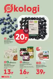 SPAR tilbudsavis uge 35 Side 4: Grøn Balance Økologiske Grøntsager €13,00, Medister af Dansk Økologisk Frilandsgris €39,00
