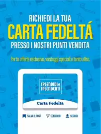 Volantino Splendidi e Splendenti Pagina 13
