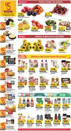 Raley's weekly ad week 35 Page 5: Aidells Sausage or Meatballs €5,00, Red or Black Plums or Yellow Peaches €2,99