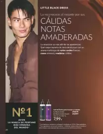 Catálogo AVON Página 20