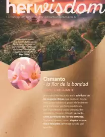 Catálogo AVON Página 8