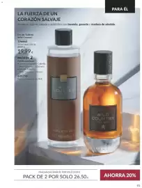 Catálogo AVON Página 93