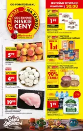 Biedronka gazetka tydzień 35 Strona 1