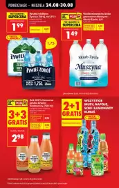 Biedronka gazetka tydzień 35 Strona 17