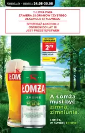 Biedronka gazetka tydzień 35 Strona 21