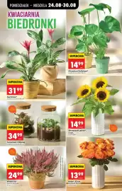 Biedronka gazetka tydzień 35 Strona 41