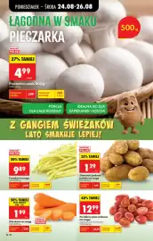 Biedronka gazetka tydzień 35 Strona 42