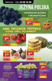 Biedronka gazetka tydzień 35 Strona 44