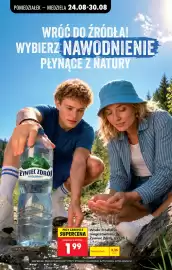 Biedronka gazetka tydzień 35 Strona 88