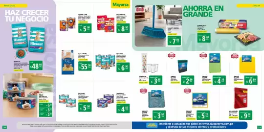 Catálogo Mayorsa Página 11