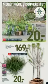 REMA 1000 tilbudsavis uge 36 Side 17: Dansk lyng €20,00