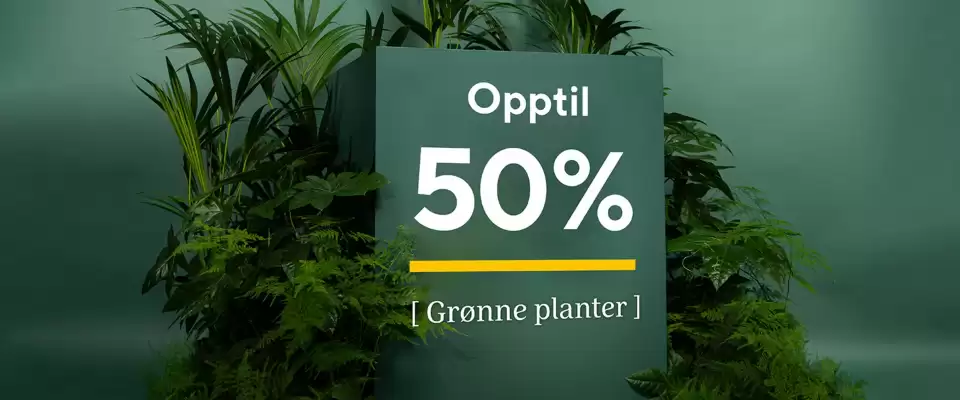 Mester Grønn (gyldig til 9-09)