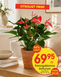 EKO reklamblad vecka 35 Sida 10