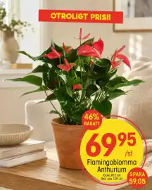 EKO reklamblad vecka 35 Sida 10