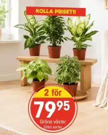 EKO reklamblad vecka 35 Sida 2
