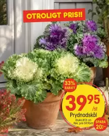 EKO reklamblad vecka 35 Sida 4