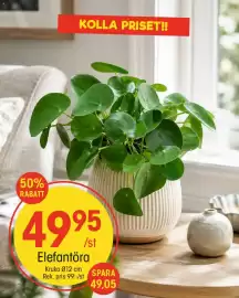 EKO reklamblad vecka 35 Sida 5