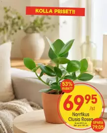 EKO reklamblad vecka 35 Sida 6