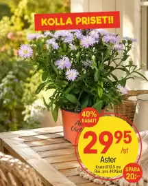 EKO reklamblad vecka 35 Sida 8