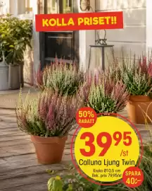 EKO reklamblad vecka 35 Sida 9