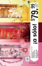 Catálogo Arabela Página 69
