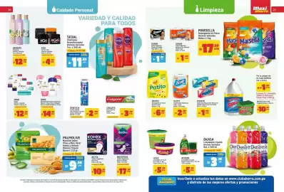 Catálogo MaxiAhorro Página 11