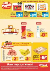 Catálogo MaxiAhorro Página 2