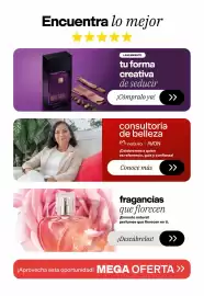 Catálogo AVON Página 3