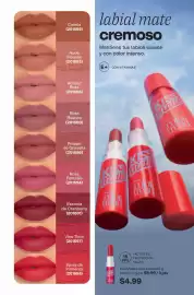 Catálogo AVON Página 47