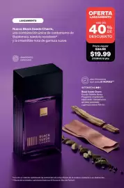 Catálogo AVON Página 6