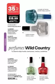 Catálogo AVON Página 72
