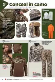 Canadian Tire flyer Page 17