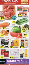 Foodland flyer week 35 Page 1