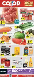 Co-op flyer week 35 Page 1: Chapman's super premium plus ice cream €2,99, Folgers Roast & Ground Coffee €15,99