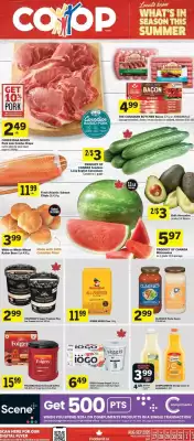 Co-op flyer (valid until 2-09)