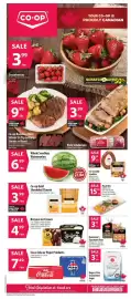 Co-op flyer week 35 Page 1: Breyers ice cream €4,99, Whole Seedless Watermelon €6,99