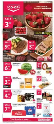 Co-op flyer (valid until 2-09)
