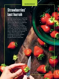 Waitrose catalogue Page 45