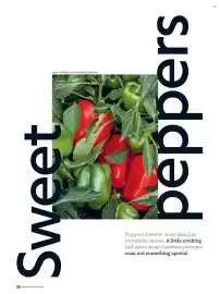 Waitrose catalogue Page 56