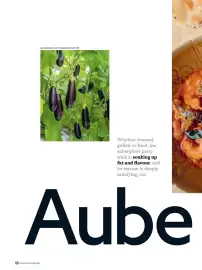 Waitrose catalogue Page 60