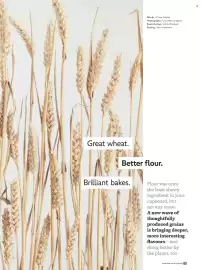 Waitrose catalogue Page 65