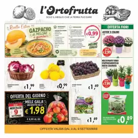 Volantino èccoMI Pagina 3: Mix di piante verdi d'appartamento in busta colorata €7,99, Aster 3 colori €2,99