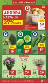 Folleto ALDI semana 36 Página 3