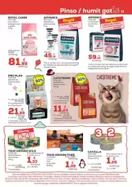 Folleto Kiwoko Página 11: Royal canin - pienso gat per a mare i bebe gat o per o galets €81,99